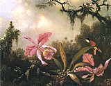 Orchids and Crimson Topaz Hummingbird